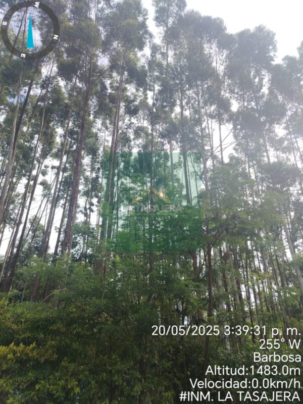 🌳Casa-Finca en Venta en Barbosa | Vereda La Chorrera – Código F011B $1.200.000.000 | 3.000 m² | 4 Alcobas | 6 Baños | Piscina - Imagen 4