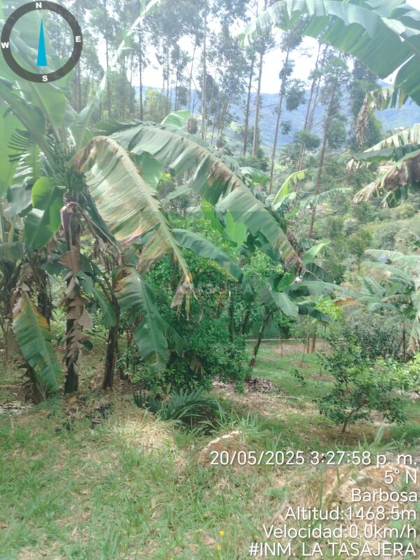 🌳Casa-Finca en Venta en Barbosa | Vereda La Chorrera – Código F011B $1.200.000.000 | 3.000 m² | 4 Alcobas | 6 Baños | Piscina - Imagen 6